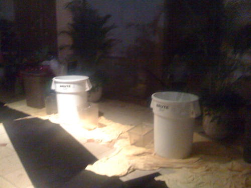 IMG 0298-2008-09-12-75534