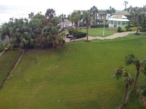 IMG 0326-2008-09-13-75562