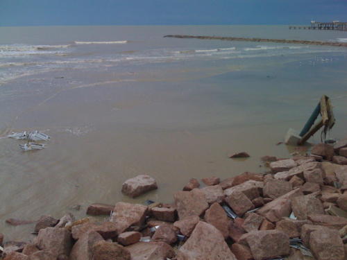 IMG 0348-2008-09-14-75598